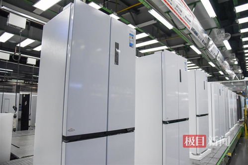 沿着长江经济带看中国 探秘全球最大单体冰箱生产基地